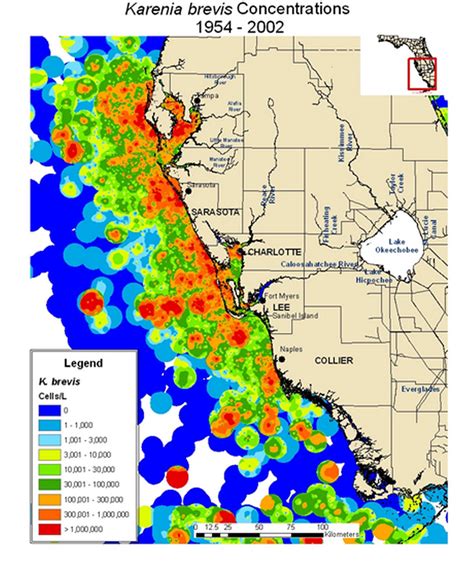 red tibe|Red Tide Current Status .